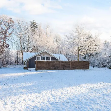 6 Person In Give-by Traum * ギブ