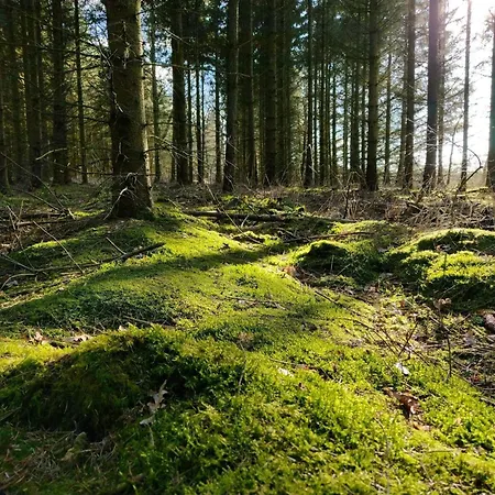 別荘 6 Person In Give-by Traum *