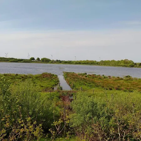 6 Person In Give-by Traum *