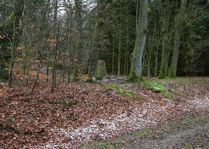 Semesterbostad 6 Person In Give-by Traum *