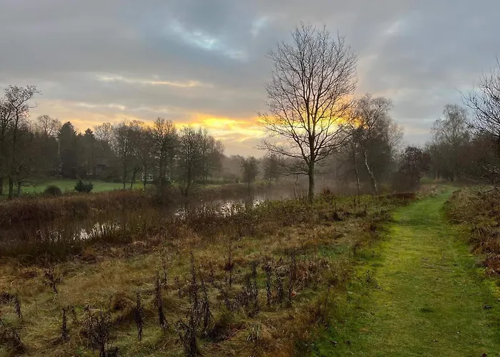 6 Person In Give-by Traum *