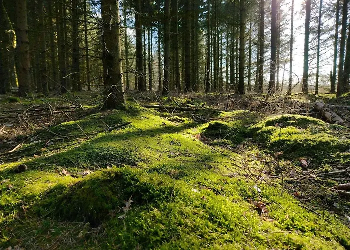 Semesterbostad 6 Person In Give-by Traum *